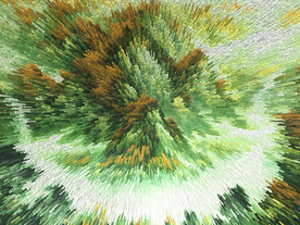 地毯地垫 绿色地毯