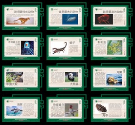 走近大自然展板