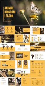 保护动物 世界动物 ppt