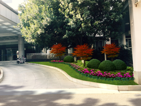 绿化改造景观设计效果图