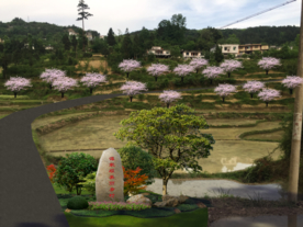 美丽乡村绿化效果图