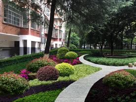 绿化改造景观设计效果图