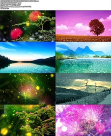 芳华主题曲 革命红歌 绒花歌曲