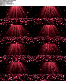 张碧晨-红玫瑰大屏背景