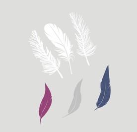 羽毛矢量图素材
