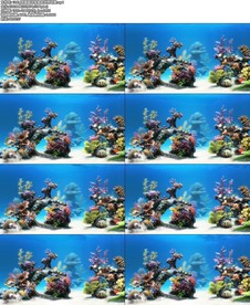 深海海洋馆海底世界场景