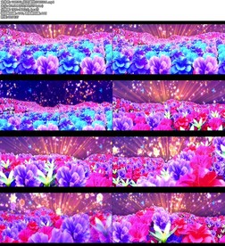 花开盛世 牡丹开场