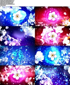 A189-梨花颂成品背景.mp