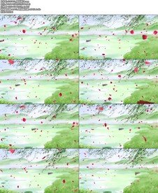 春到湘江歌曲led背景