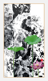 荷花荷叶水墨