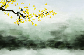银杏花鸟 银杏背景墙