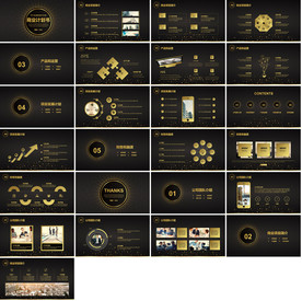 通用商业计划PPT