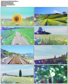 菊次郎的夏天-久石让