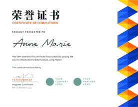 荣誉证书时尚横版证书