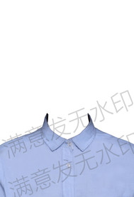 蓝色证件照模板psd