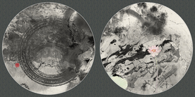 高雅荷花装饰画