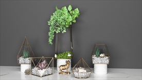 金色框架花盆与多肉植物