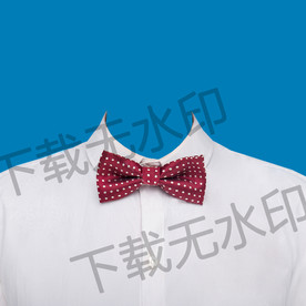 领结证件照孩子衣服