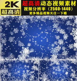 梦幻洁白雪花粒子飘落视频素材