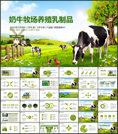 生态草原畜牧业奶牛养殖乳业