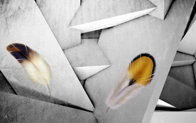 羽毛新简约无框画 TIF分层