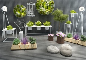 小清新绿色植物组合