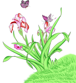 精美抽闲百合矢量图