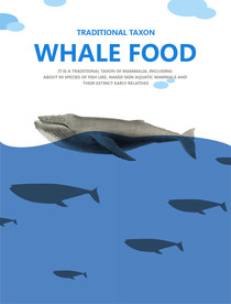 矢量鲸鱼 深海鲸鱼矢量图