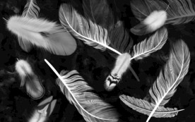 羽毛北欧无框新画 TIF分层