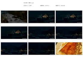 户外野蜂养蜂人蜂箱夜景峰蛹