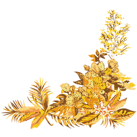 花卉花草茶花矢量元素