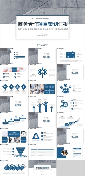 商务合作项目策划PPT