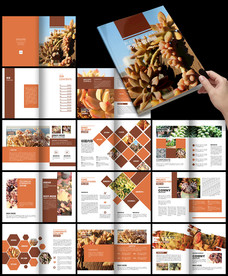 绿植家居产品画册多肉植物介绍