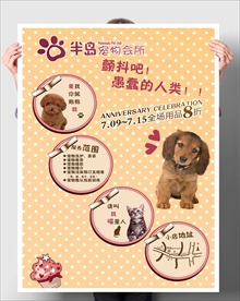 宠物会所 宠物店促销