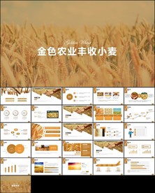 农业种植小麦PPT模板