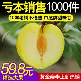 黄金李创意直通车主图设计