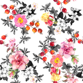 素雅 大牌 炫彩 叶子花