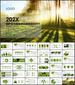 保护湿地原始森林生态氧吧PPT
