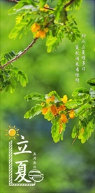 立夏节气海报摄影照片