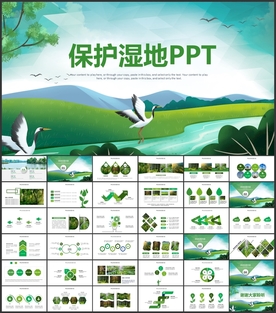 保护湿地生态环境丹顶鹤PPT