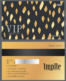 时尚 VIP卡 黑金色