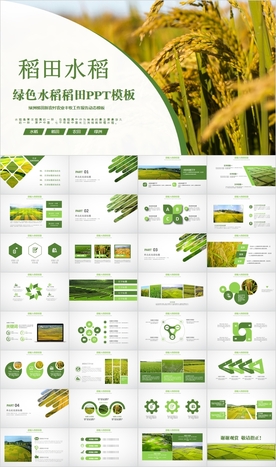 水稻五常有机大米PPT模板农业