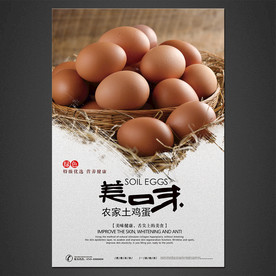 土鸡蛋海报