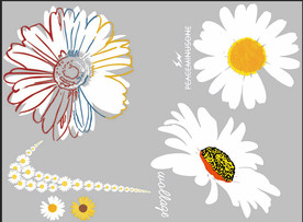 小雏菊 菊花 向日葵 花朵 志