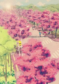 手绘华东农业大学高清合层樱花美