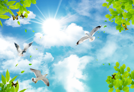 蓝天白云吊顶装饰画