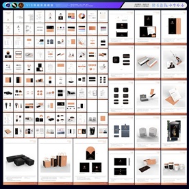 VIS视觉识别手册