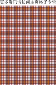 格子面料 格子背景 女装格子