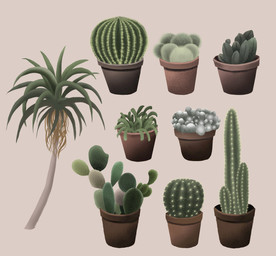 仙人掌植物素材
