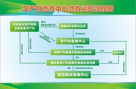 急救中心运转流转图
